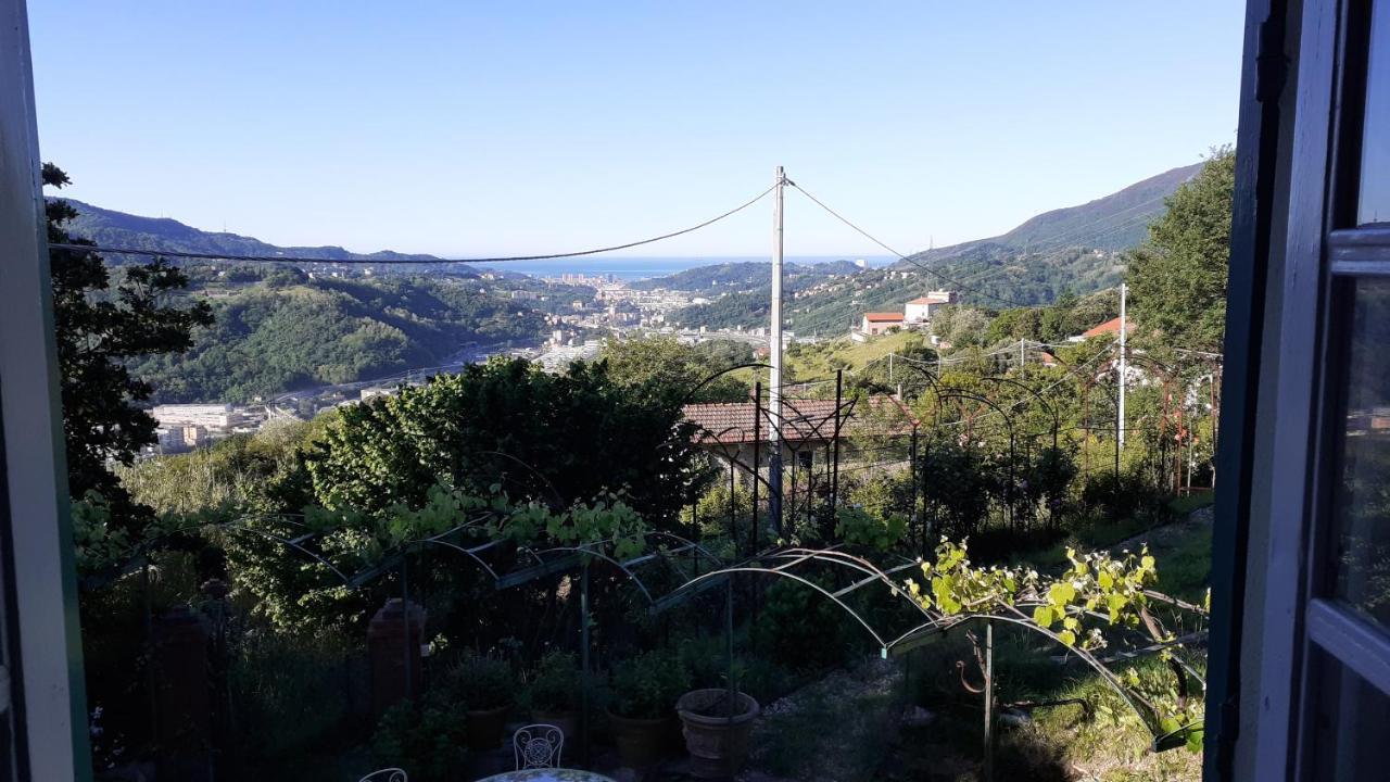 Ponzio Genova