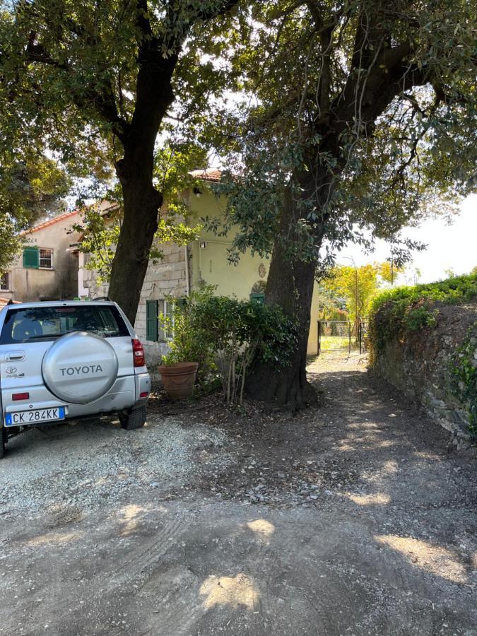 Ponzio Appartamento